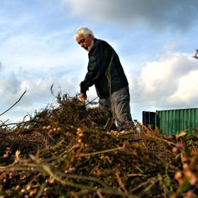 Herr Dr. Rachor verteilt das Mahdgut gleichmäßig auf der Fläche
